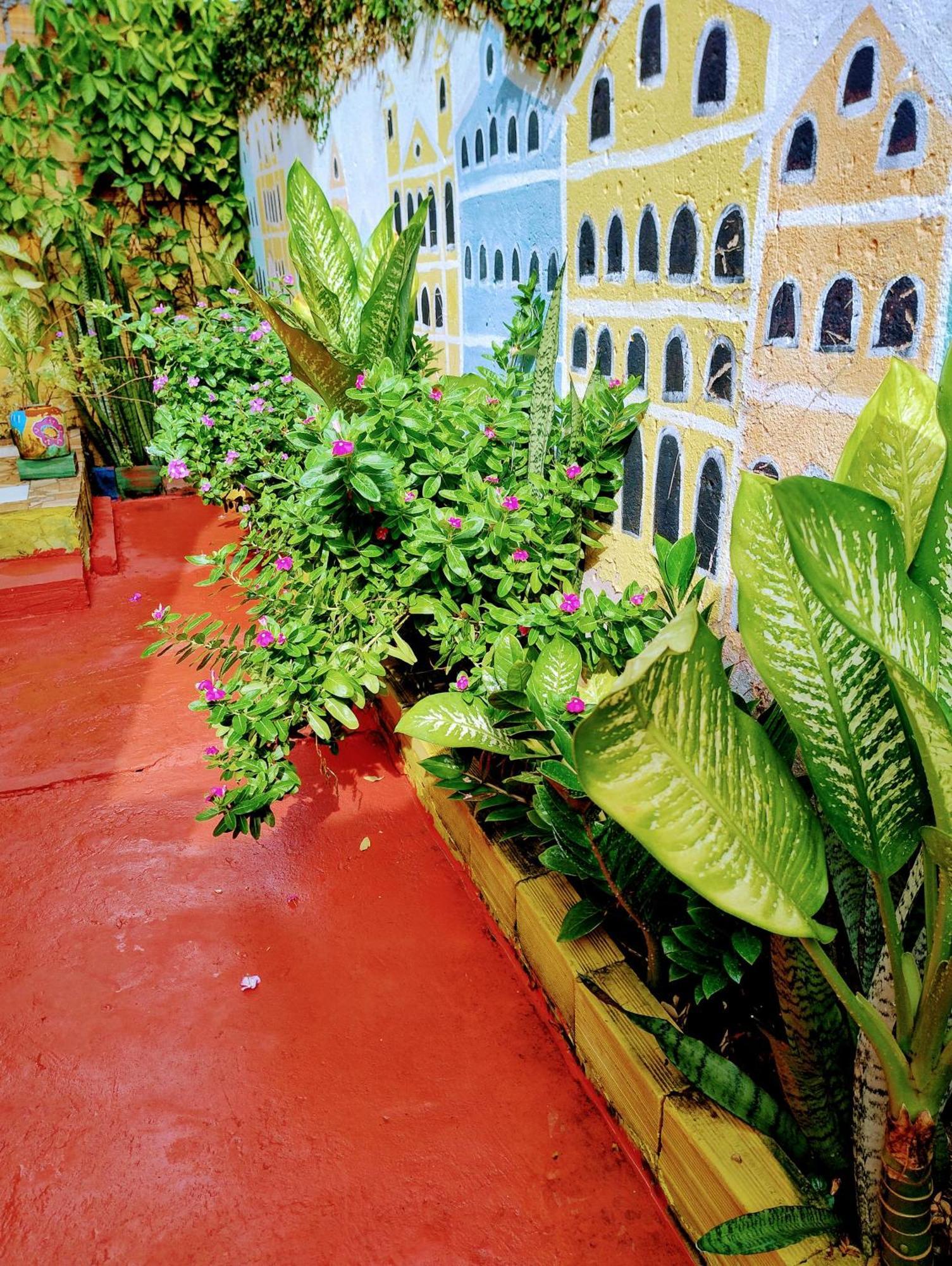 Perto Do Aeroporto De Salvador - Dona Pitanga Hostel Lauro de Freitas Exteriér fotografie