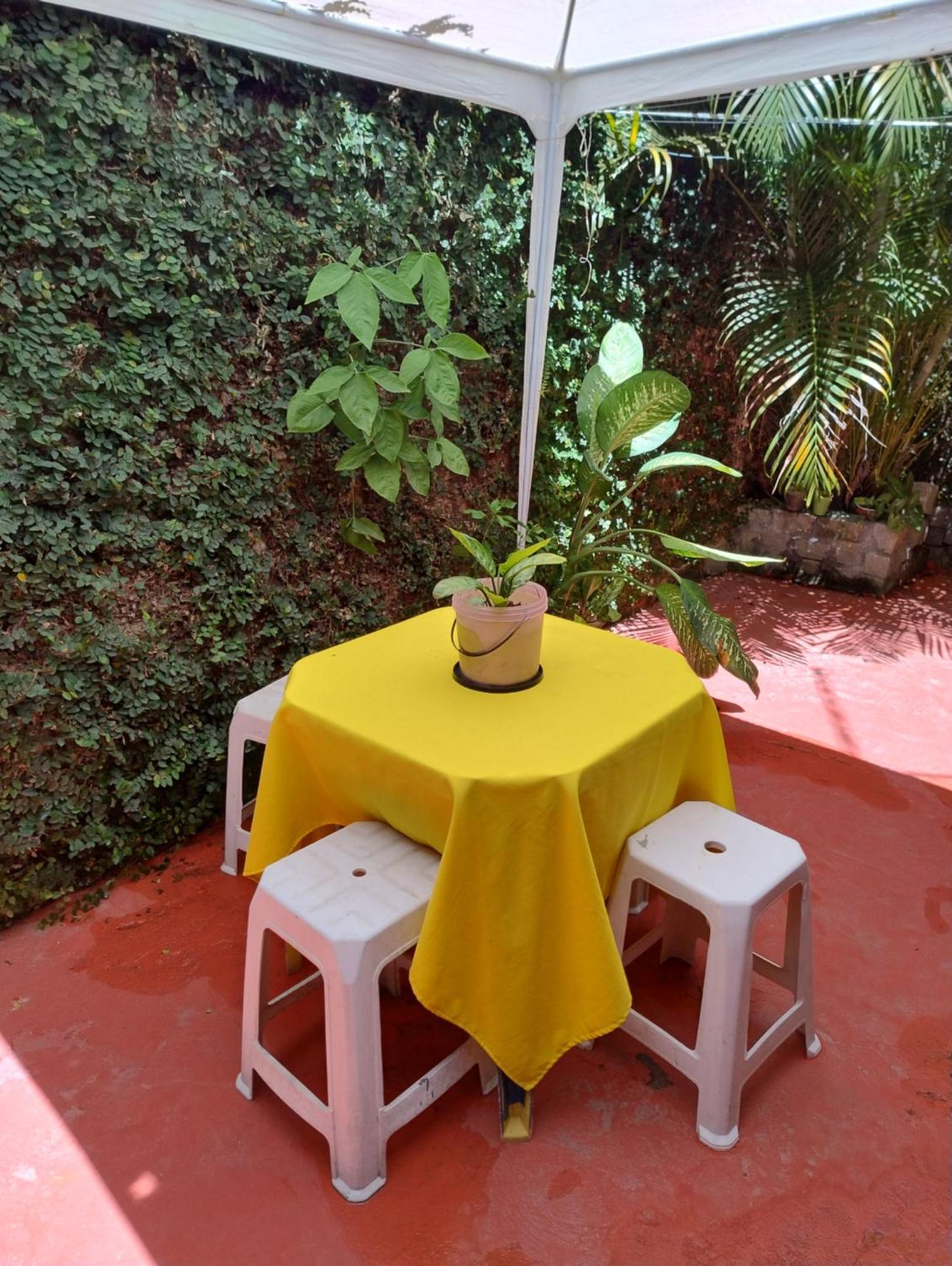 Perto Do Aeroporto De Salvador - Dona Pitanga Hostel Lauro de Freitas Exteriér fotografie